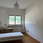 Rent 3 bedroom apartment of 80 m² in Trento