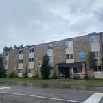 Rent 1 bedroom apartment in Windsor