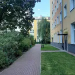 Rent 1 bedroom apartment of 34 m² in Warsaw