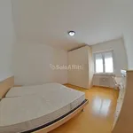 Rent 3 bedroom apartment of 80 m² in Trento