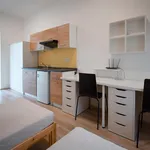 Rent 1 bedroom apartment in Brno