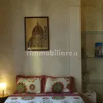 Rent 1 bedroom apartment of 30 m² in Florence