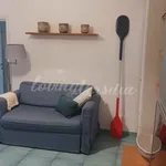 Villa in affitto a Pietrasanta viale Apua, 300, giardino, posto auto, lavastoviglie - TrovaCasa