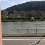 Rent 4 bedroom apartment of 150 m² in Heidelberg