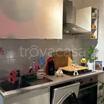 Rent 4 bedroom apartment of 100 m² in Mantua