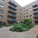 Rent 2 bedroom flat in York