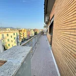 Rent 2 bedroom apartment of 70 m² in Rome