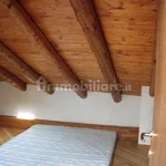 Rent 3 bedroom apartment of 208 m² in Ca' Maitino