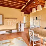 Rent 3 bedroom apartment of 90 m² in Perugia