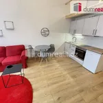 Rent 1 bedroom apartment of 42 m² in Prague