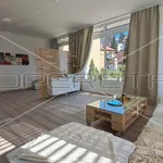 Rent 3 bedroom apartment of 130 m² in Zagreb