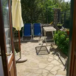 Rent 2 bedroom apartment of 45 m² in Sant'Agnello