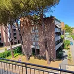 Rent 3 bedroom apartment of 56 m² in Roma