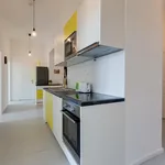 Rent 5 bedroom apartment in Prague