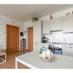 Rent 2 bedroom apartment of 68 m² in Milano