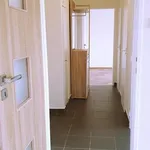 Rent 3 bedroom apartment of 52 m² in Ústí nad Labem