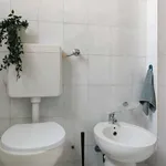 Rent 1 bedroom apartment in milan