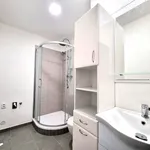 Rent 2 bedroom apartment in České Budějovice