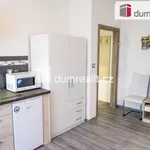 Rent 2 bedroom apartment of 30 m² in Luhačovice