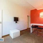 Rent 2 bedroom apartment of 60 m² in Florence