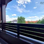 Rent 4 bedroom apartment of 164 m² in Miřetice