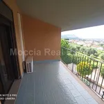 Affitto 5 camera casa di 320 m² in Caserta