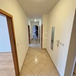 Rent 3 bedroom apartment of 80 m² in Pelhřimov