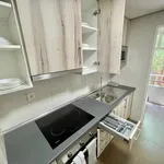 Rent 6 bedroom apartment in Madrid