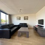 Rent 3 bedroom apartment of 90 m² in Vogelenbuurt