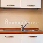 Rent 2 bedroom apartment of 55 m² in Turin