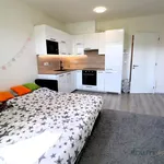 Rent 1 bedroom apartment in Brno