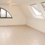 Rent 1 bedroom apartment in OUDENAARDE