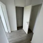 Rent 2 bedroom apartment of 52 m² in Gelsenkirchen