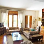 Rent 3 bedroom apartment of 120 m² in Roma