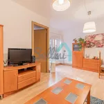 Rent 3 bedroom apartment of 84 m² in Oviedo