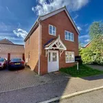 Rent 4 bedroom house in Norwich