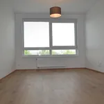 Rent 1 bedroom apartment of 30 m² in Praha