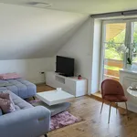 apartment at Skotnice ,Czech Republic