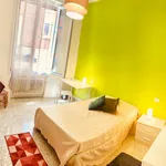 Rent 4 bedroom apartment in Bologna