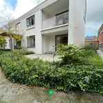 Rent 1 bedroom apartment in Roeselare