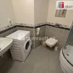 Rent 1 bedroom apartment of 38 m² in Praha