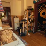 Rent 2 bedroom apartment of 38 m² in Praha