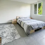 Maison de 43 m² avec 2 chambre(s) en location à CERIZAY