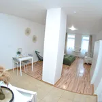 Studio o rozloze 45 m² v Brno