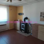 Rent 1 bedroom apartment of 1 m² in Nový Bor