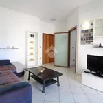 Rent 3 bedroom apartment of 80 m² in Brindisi