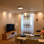 Najam 1 spavaće sobe stan od 50 m² u Matulji