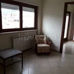 Rent 3 bedroom apartment of 50 m² in L'Aquila