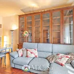 Rent 3 bedroom apartment of 100 m² in pisa