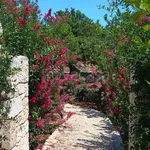 Affitto 5 camera casa di 230 m² in Ostuni